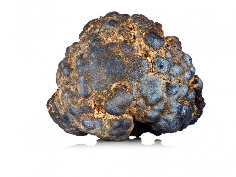 polymetallic nodule