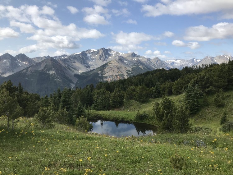 south chilcotins