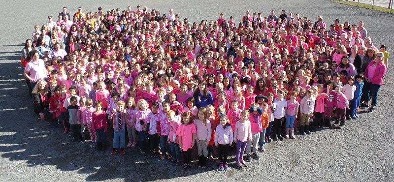 pink shirt day