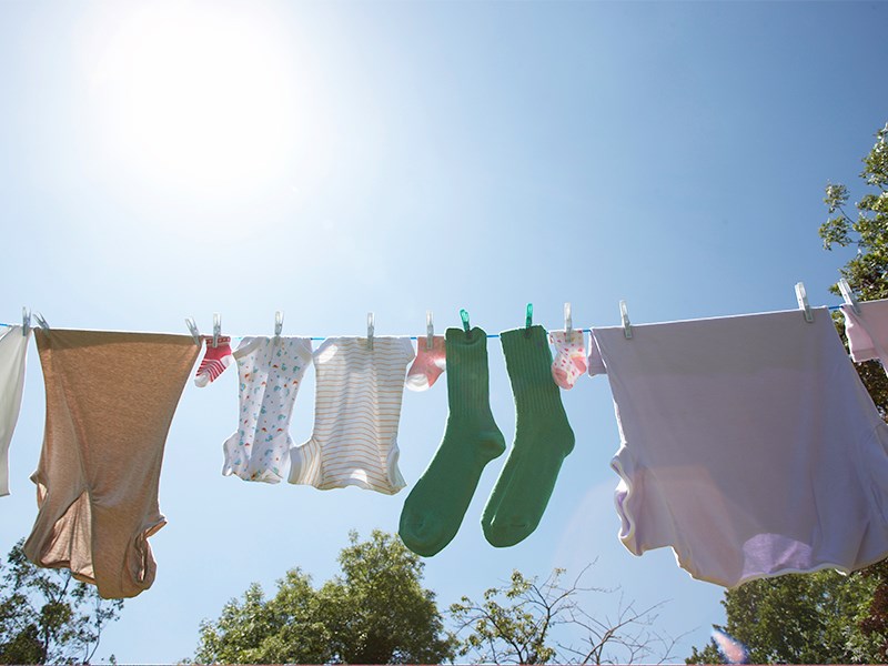 clothesline