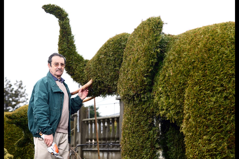 Branch manager: Manuel Fernandes is a man of many talents, including topiary, a horticultural practice that involves shaping trees and shrubs into ornamental structures. He has more than 50 planted around his Burnaby home, including an elephant, a hippo and a bear.