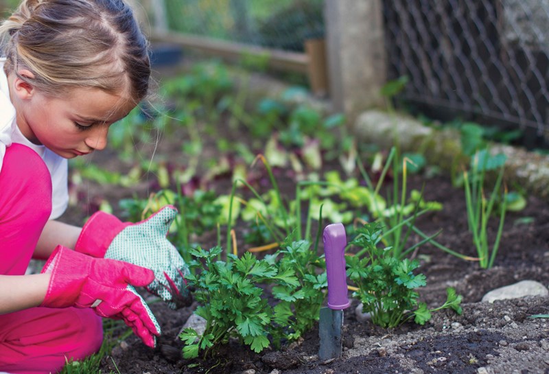 garden grant