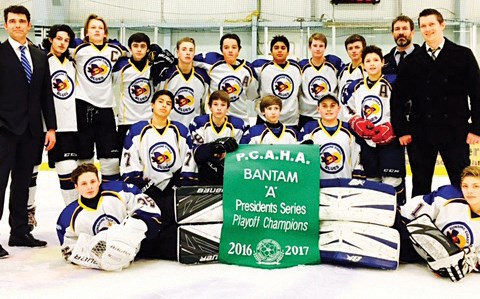 Hockey banner