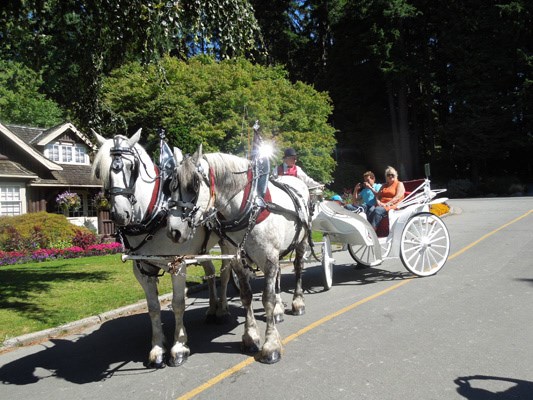 Horse ride stanley sales park