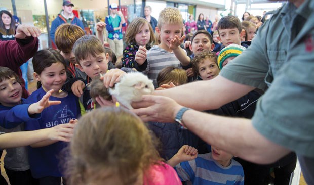 Mike Larson holds a guinea pig for all to touch during a Mike’s Critters presentation at the Tsawwassen Town Centre Mall Wednesday. The mall is offering free drop-in activities for school-aged children every weekday during Spring Break. .