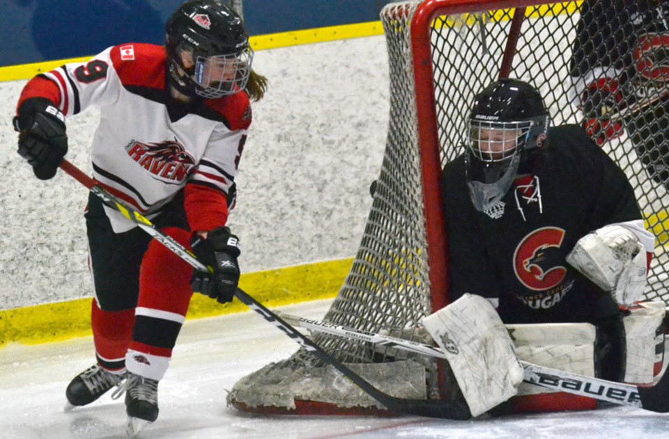 hockey