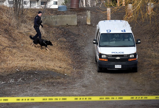 dog and cop