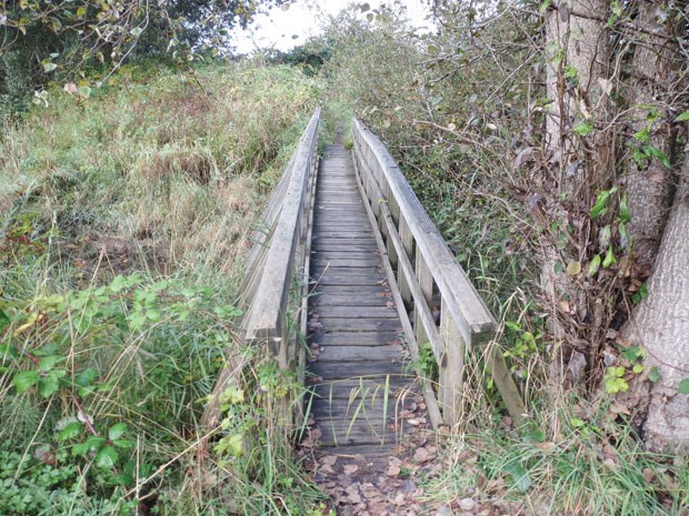 A bridge linking a trail in Ladner Harbour Park was removed eight years ago, leaving walkers with no way to cross the slough.