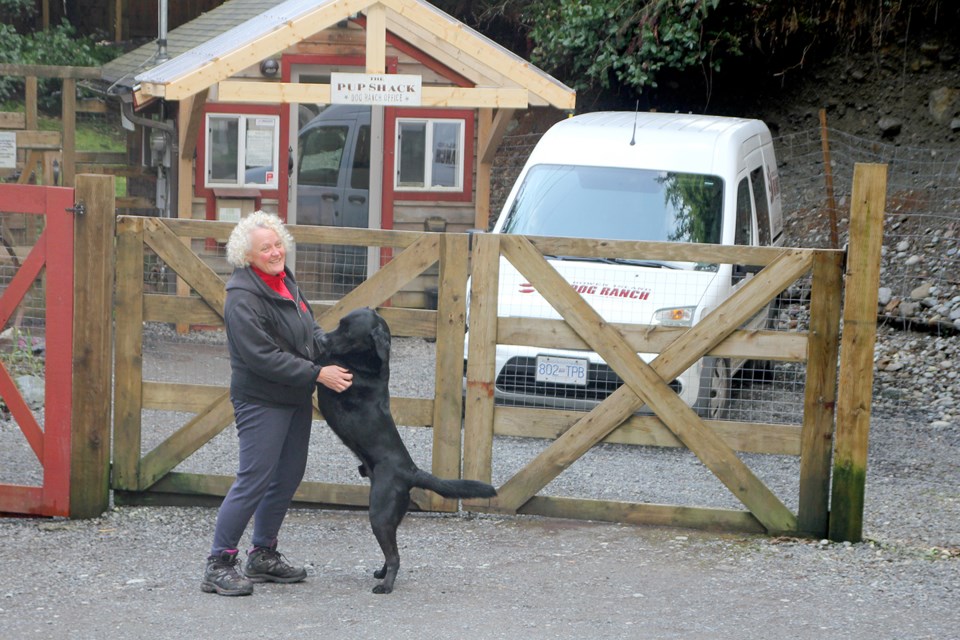dog ranch