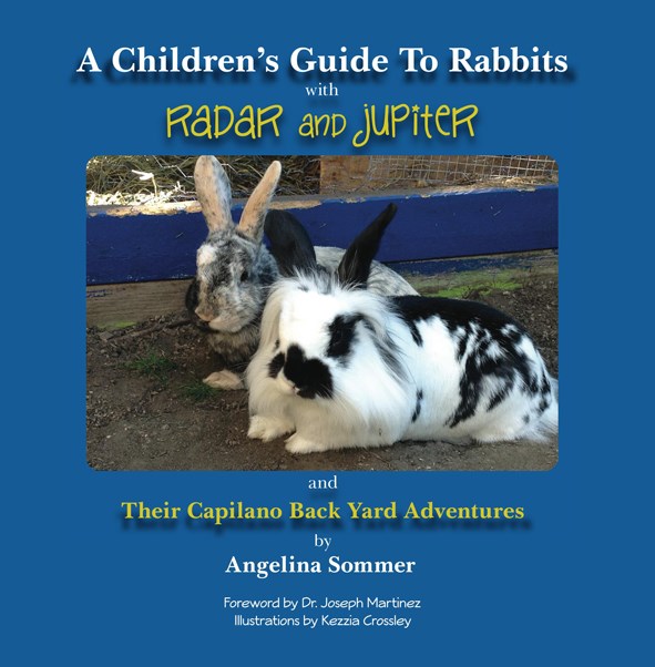 rabbit book