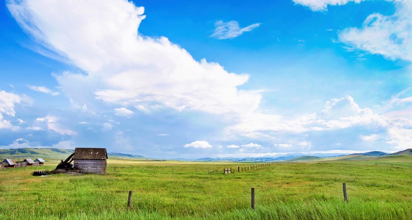 alberta farmland