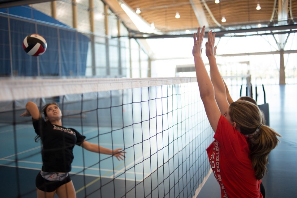 volleyball