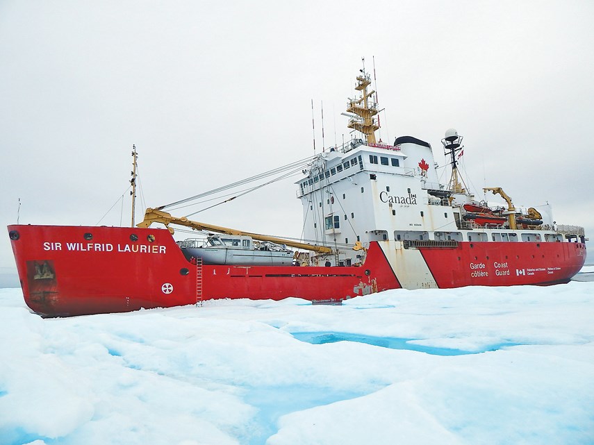 Laurier in ice