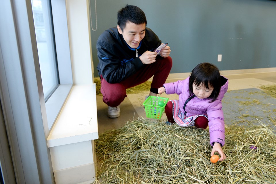 Cecilia Xu searches for Easter eggs at the Bonsor event.
