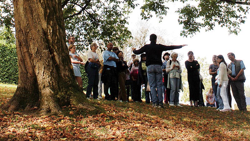 tree fest