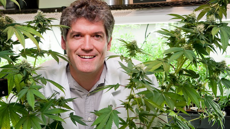 University of British Columbia adjunct professor Jonathan Page: the Anandia Labs founder co-led the first genome sequencing of Cannabis sativa. | Chung Chow
