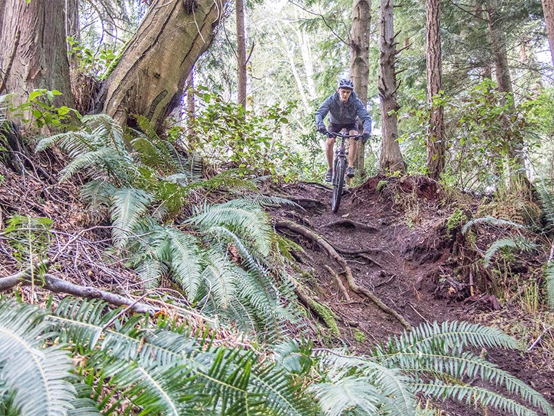 mountain biking