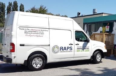 RAPS van