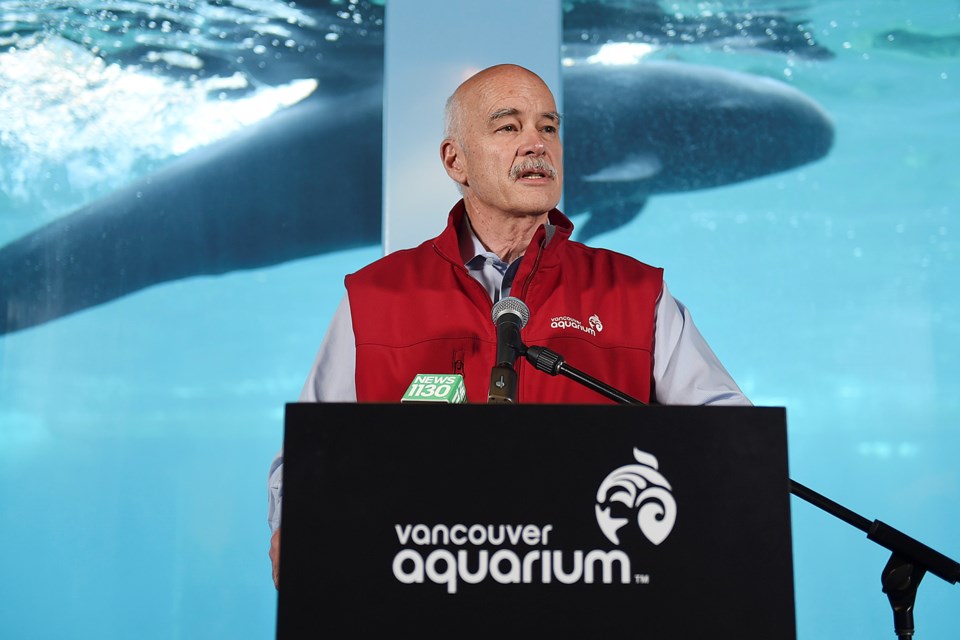 Vancouver Aquarium CEO John Nightingale Thursday announced that he will retire at the end of the year. Photo Dan Toulgoet