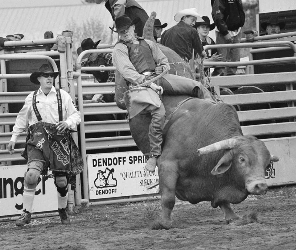 cowboy bull riding rodeo