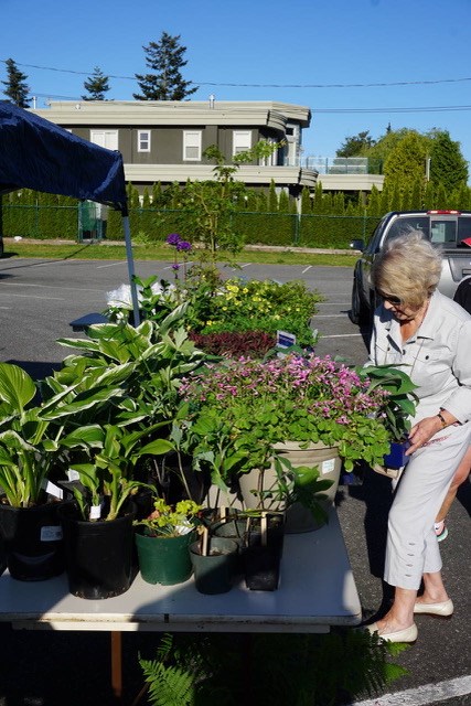 plant sale