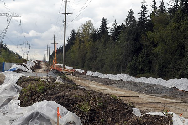 Work on the twinning of a FortisBC natural gas pipeline has started up along Mariner Way.