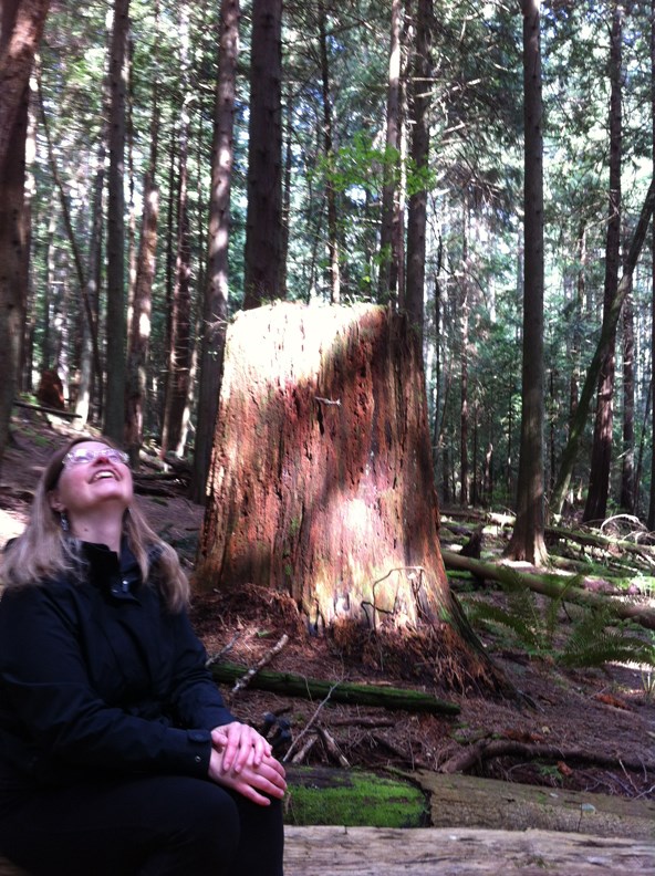 forest