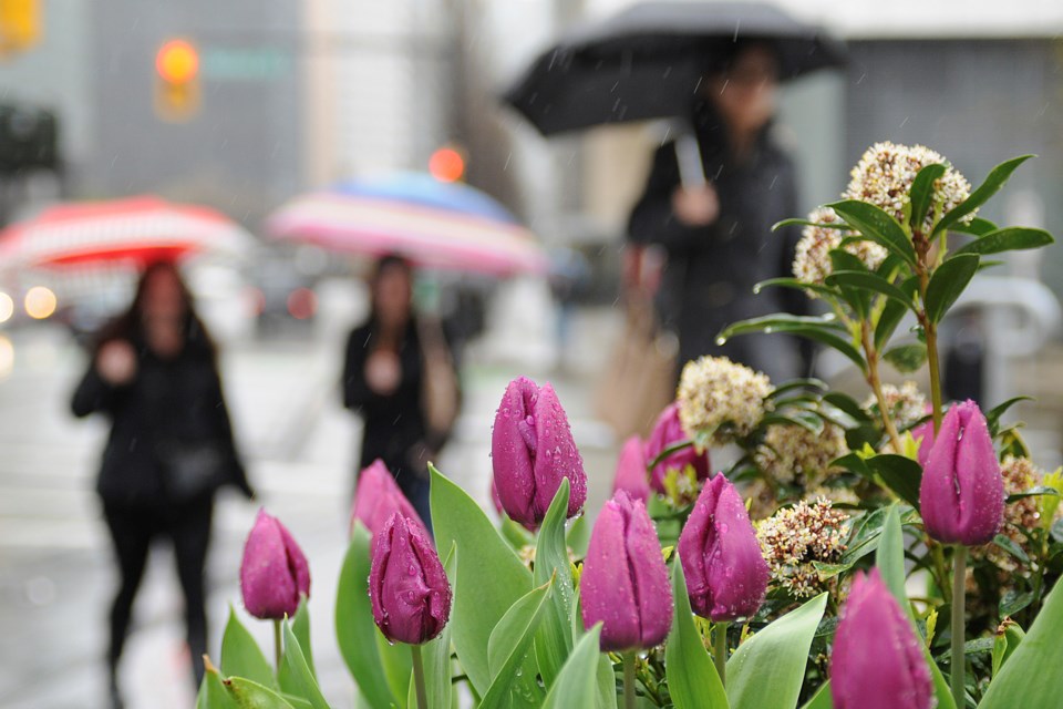 mother's day flowers