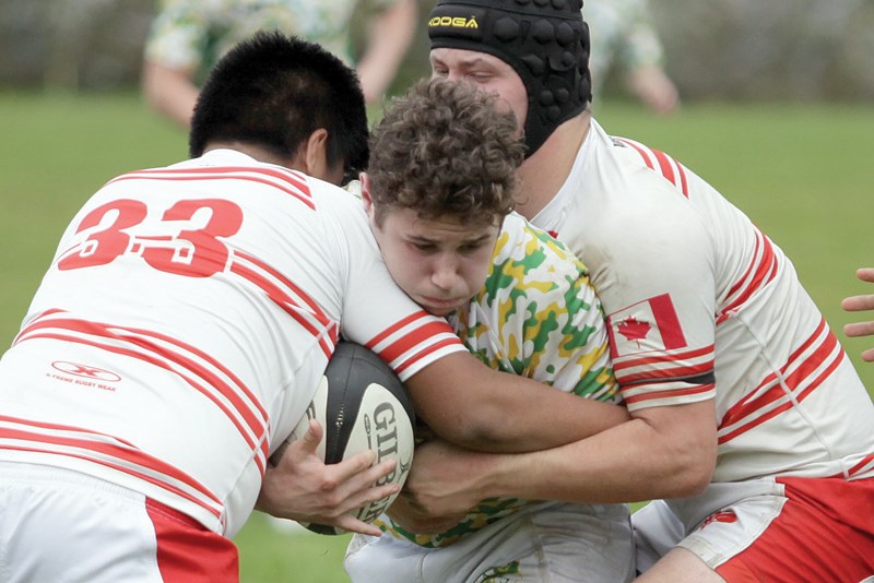 Argyle’s Aidan Cottrell tries to push past Carson Graham’s Justin Santos and Luke Wooldridge during a North Shore AAA rugby game earlier this season. Four North Shore teams will be in action during a playoff triple header Thursday at Klahanie Park. photo Kevin Hill, North Shore News