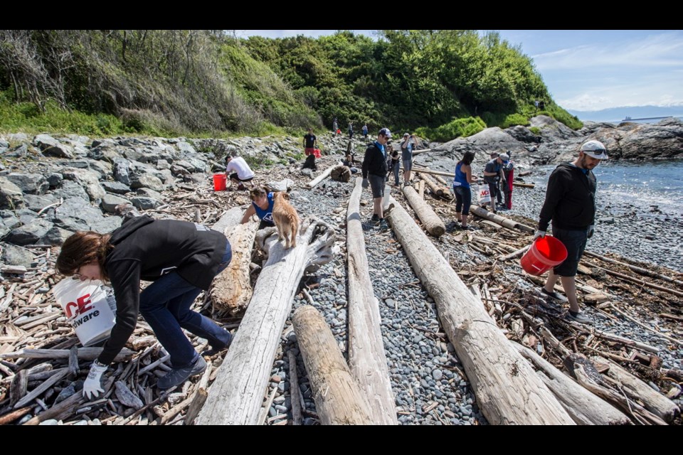 Vancouver Island Brewing workers pick up plastic and other trash along the beach below Dallas Road in a cleanup organized by Surfrider Vancouver Island. A talk by Rhiannon Moore, one of Canada's Top 30 under 30 sustainability leaders, on Tuesday will address the scope of plastics in our oceans.