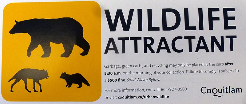 Wildlife attractant sticker