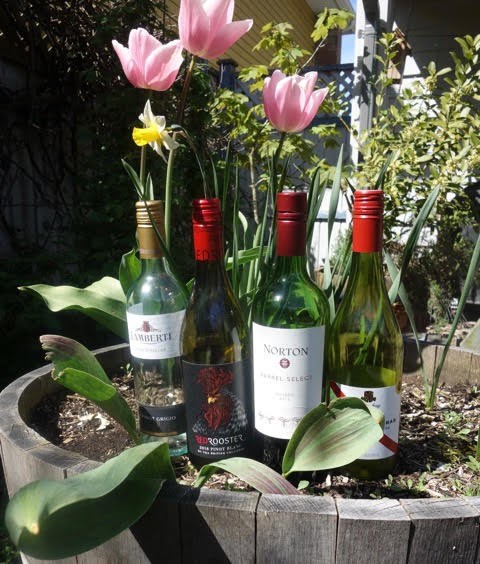 wine