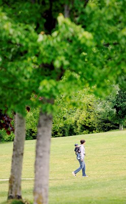 Town Centre Park