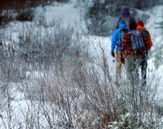 hikers in snow