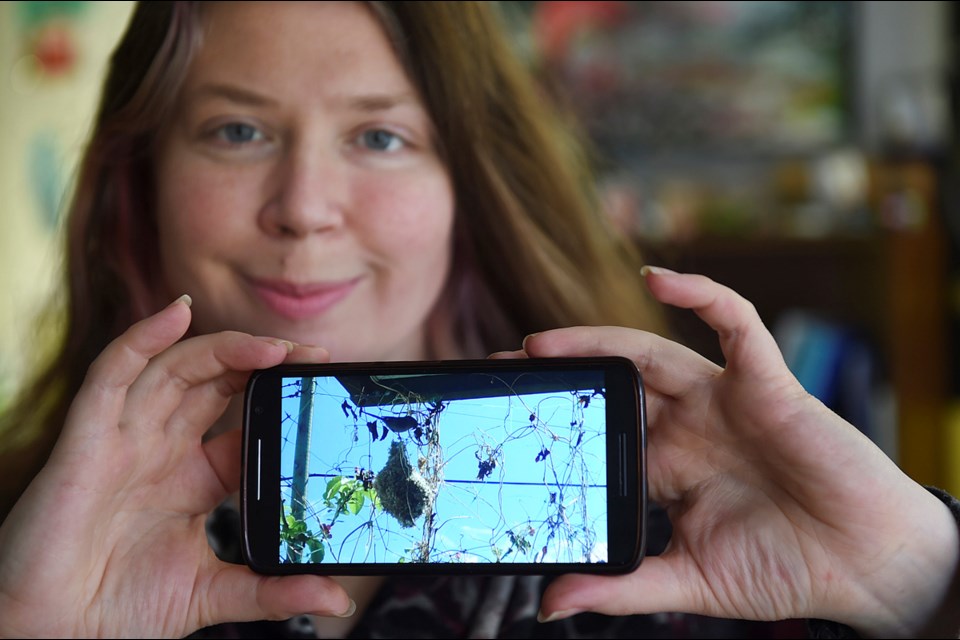 Showing the Facebook live feed of the bushtits nesting on her Mount Pleasant balcony, artist Jennifer Chernecki says bird-watching is social and "geeky in a grown-up intellectual kind of way." Photo Dan Toulgoet