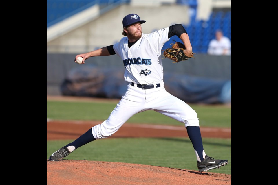 Colin Ashworth, one of the HarbourCats' starting pitchers last season, is among the players returning for the 2017 season.