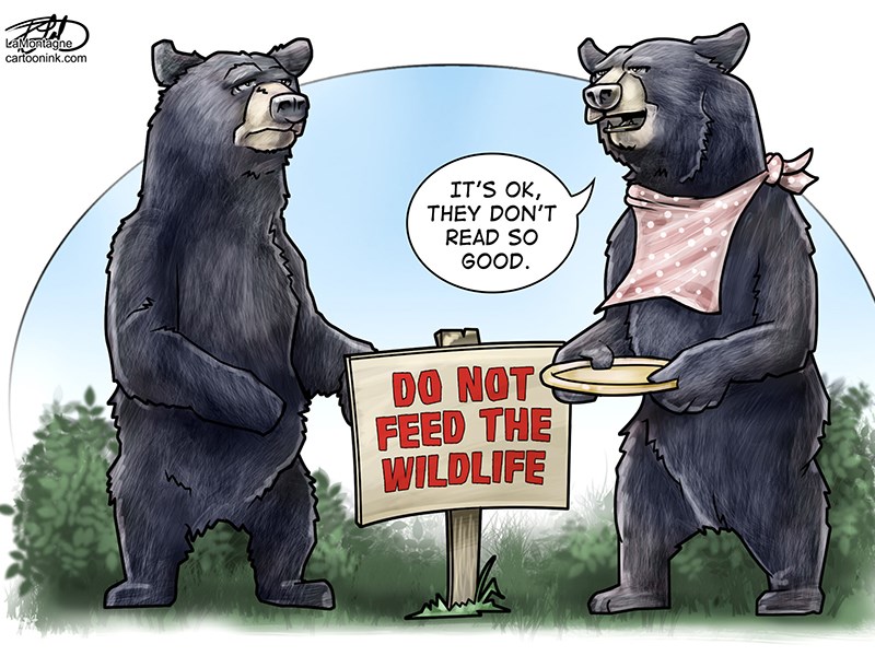cartoon32