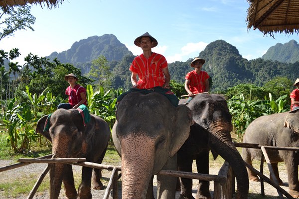 Mahouts, the individuals who have the closest relationship with elephants, are in increasingly limited supply in Thailand, as many have abandoned their careers to start new lives in the cities.