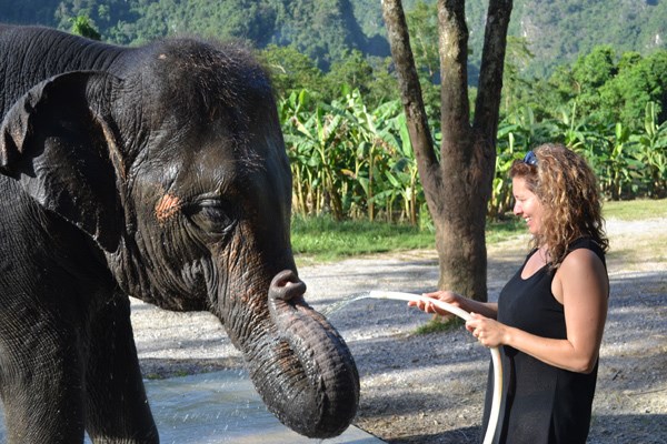 Elephants are an expensive procurement. So when staff at Elephant Hills discovered one of their most recent elephant acquisitions was pregnant with Baby HaHa, born three months ago, they knew they'd hit the jackpot.