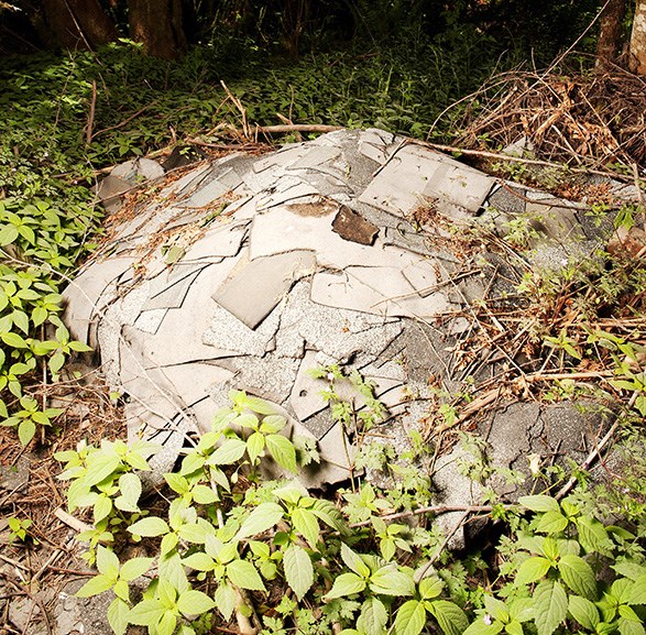 A pile of asphalt roof shingles sits along the side of the Mamquam Forest Service Road.