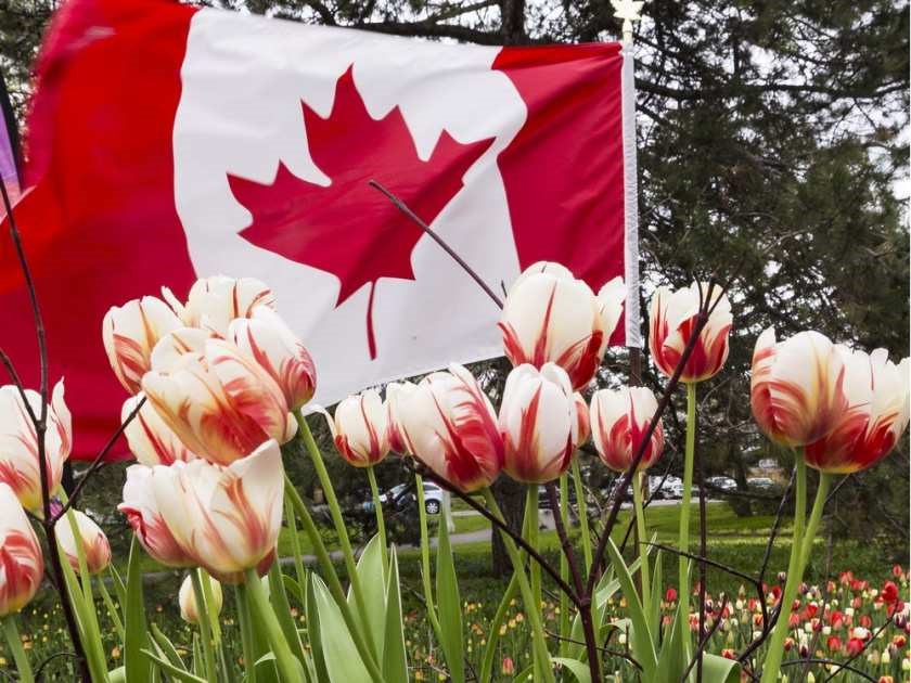 Canada flowers