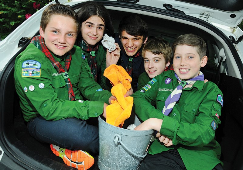 scouts
