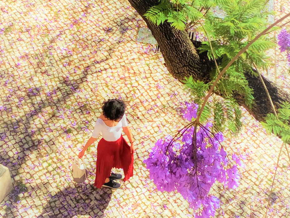 I botched up removing the film from the camera, and exposed the entire roll to sunlight.