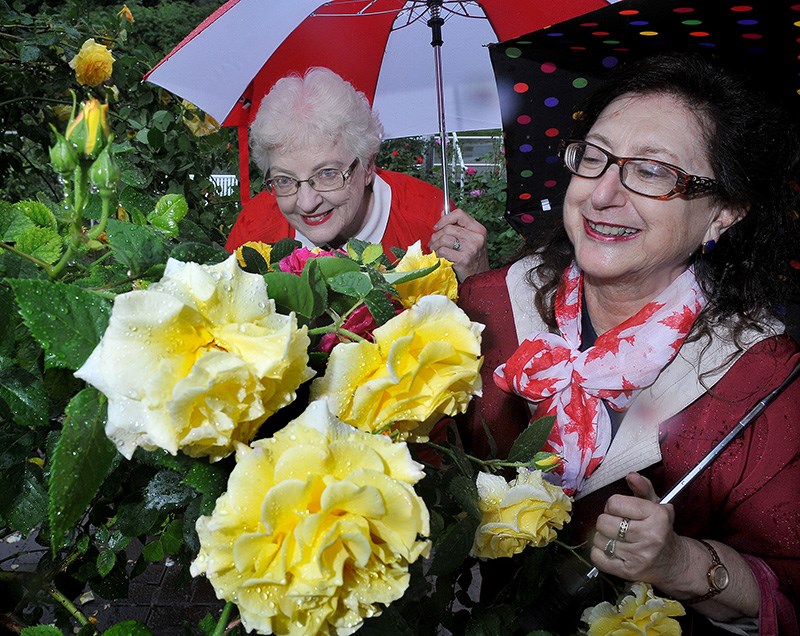 Rose show