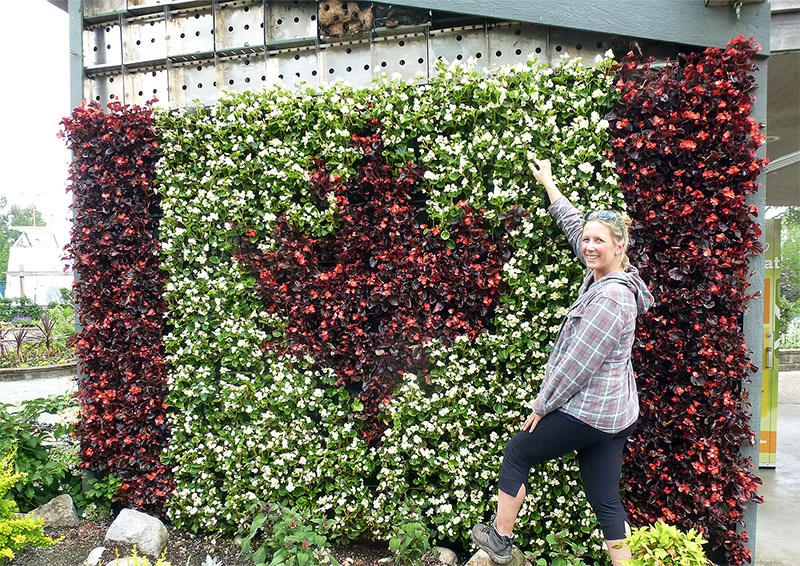 Coquitlam garden