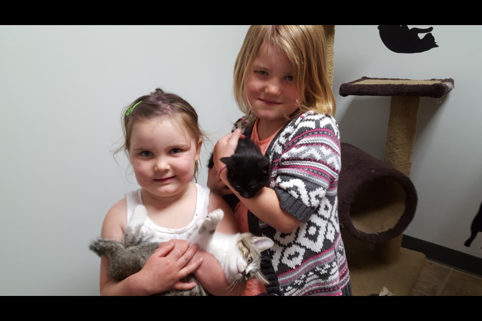 Molly Bonnar, 3, and her six-year-old sister Maggie made some new furry friends Saturday at the Prince George Humane Society's second birthday celebration at the society's adoption and humane education centre at 12A - 1839 First Ave.