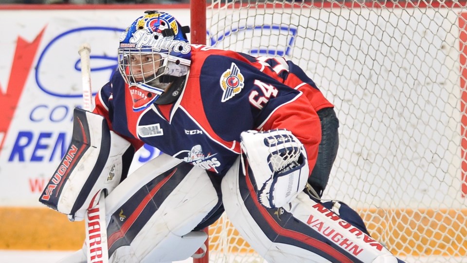 Michael DiPietro