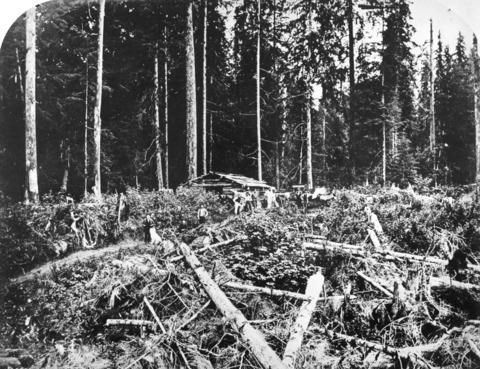 Logging activities in the area of present day Denman Street and English Bay in 1868. City of Vancouv