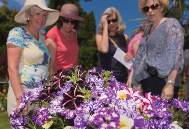 The South Delta Garden Club put on a self-guided tour of local gardens Sunday for the first time in over a decade.