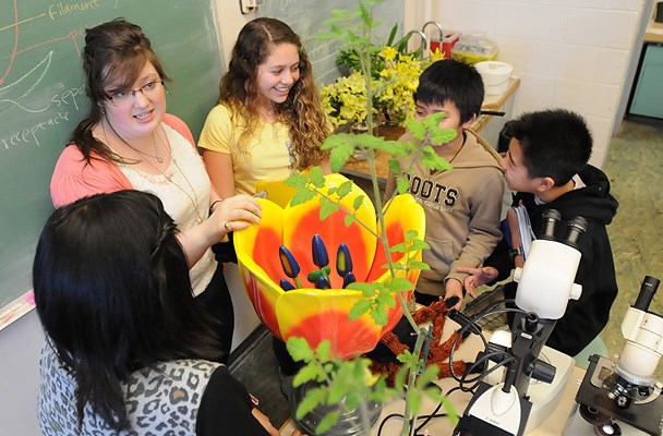 More than 30 students in Grades 5, 6 and 7 at Mount Pleasant elementary school visited Shona Ellis's Botany Teaching Lab at UBC Friday thanks to the Scientist in Residence Program. The purpose of this trip was to explore biological specimens in the lab.
